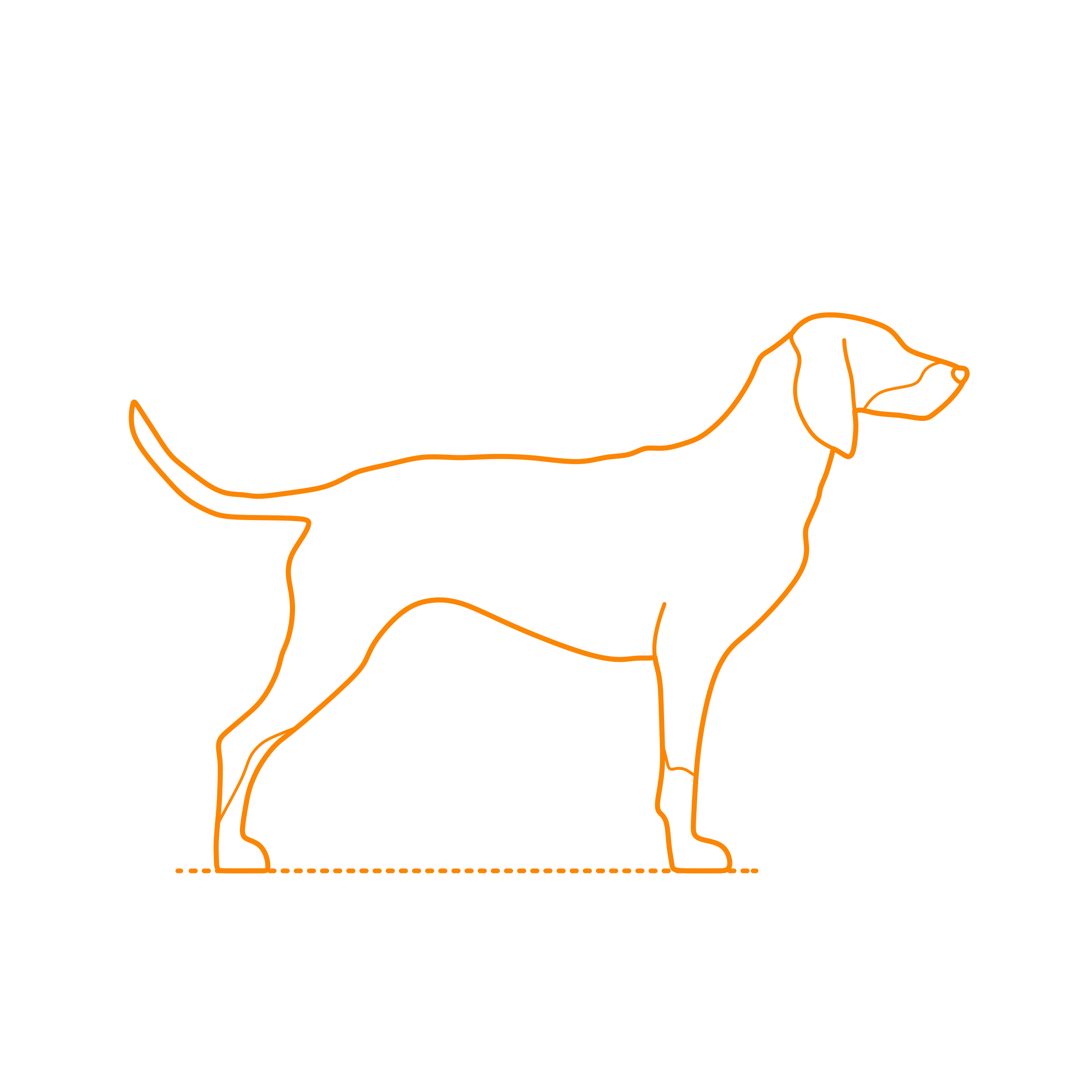Animals Dogs Transylvanian Hound Outline Icon Svg Set Free Vectors